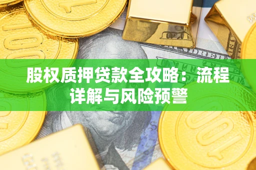 北京股权质押贷款全攻略：流程详解与风险预警