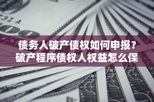 北京债务人破产债权如何申报？破产程序债权人权益怎么保障？