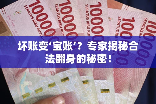 北京坏账变‘宝账’？专家揭秘合法翻身的秘密！