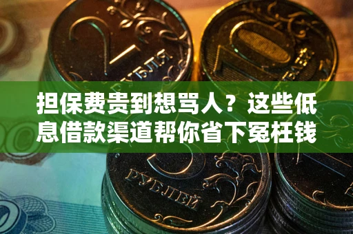 北京担保费贵到想骂人？这些低息借款渠道帮你省下冤枉钱