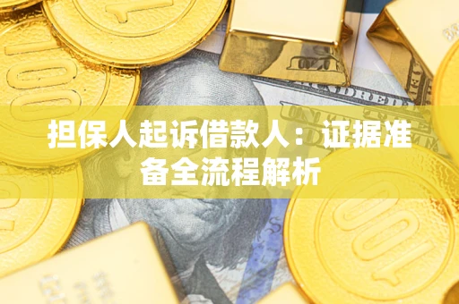 北京担保人起诉借款人：证据准备全流程解析
