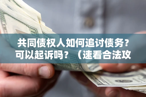 北京共同债权人如何追讨债务？可以起诉吗？（速看合法攻略）